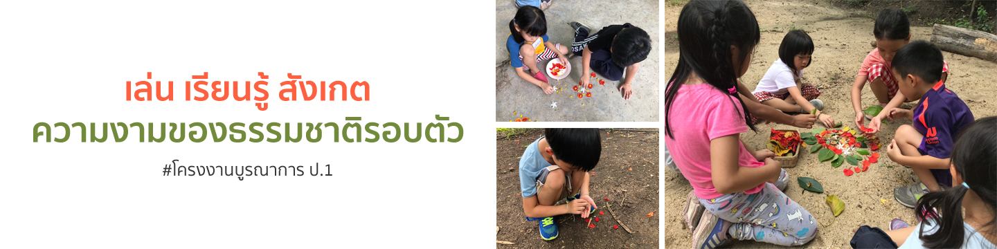 ป.๑ เล่น เรียนรู้ สังเกต...ความงามของธรรมชาติรอบตัว