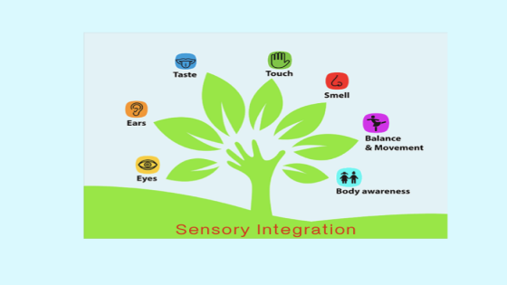 Sensory Integration (SI) ช่วยอะไรกับเด็ก